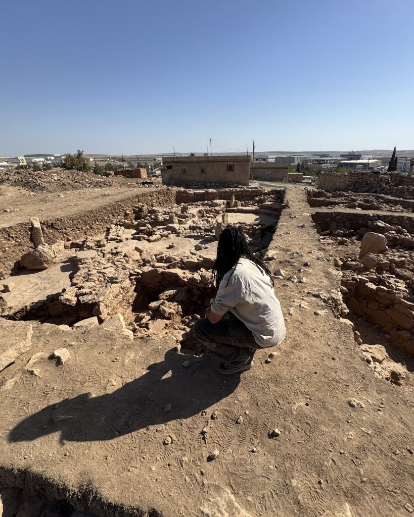 Anyextee reveals new discoveries at Sayburc