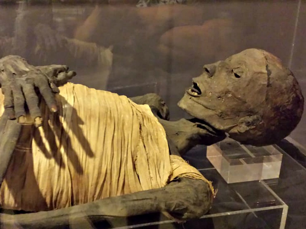 Rosicrucian Egyptian Museum mummy