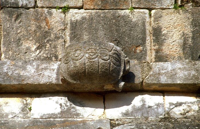 House of the Turtles in Uxmal Turtle close up detail